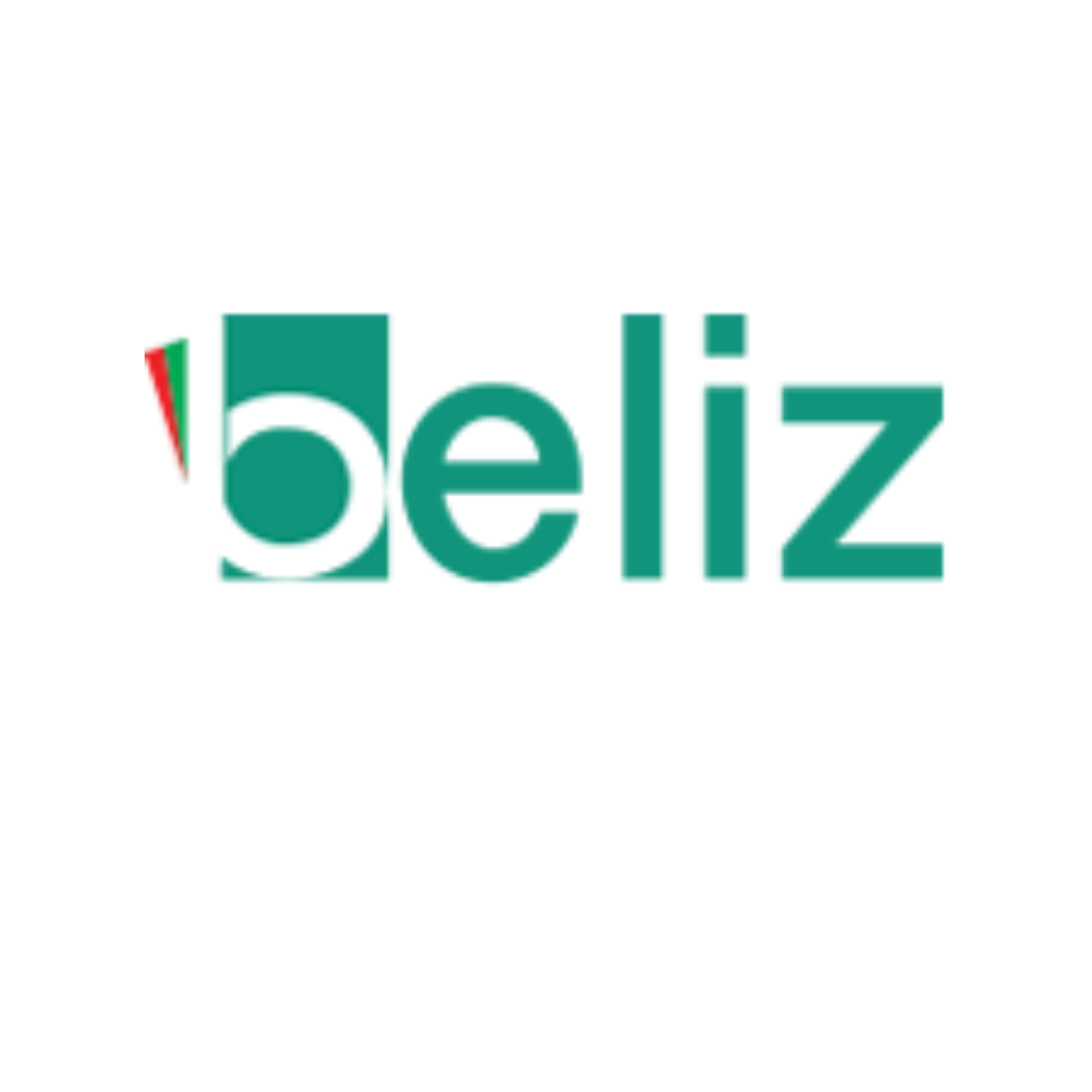 Beliz Reklam,Bayrak ve Tanıtım